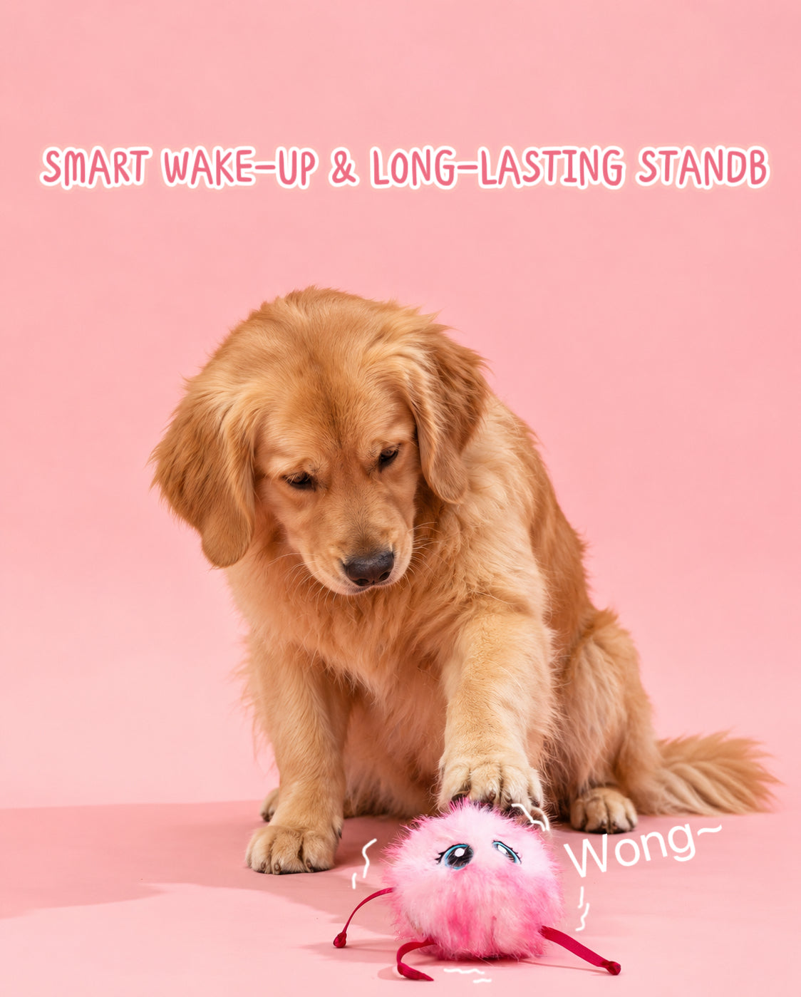 Smart Interactive Pet Ball – Rechargeable Indoor Pet Toy with Smart Motion Sensor, Interactive Enrichment Toy for Cats & Dogs